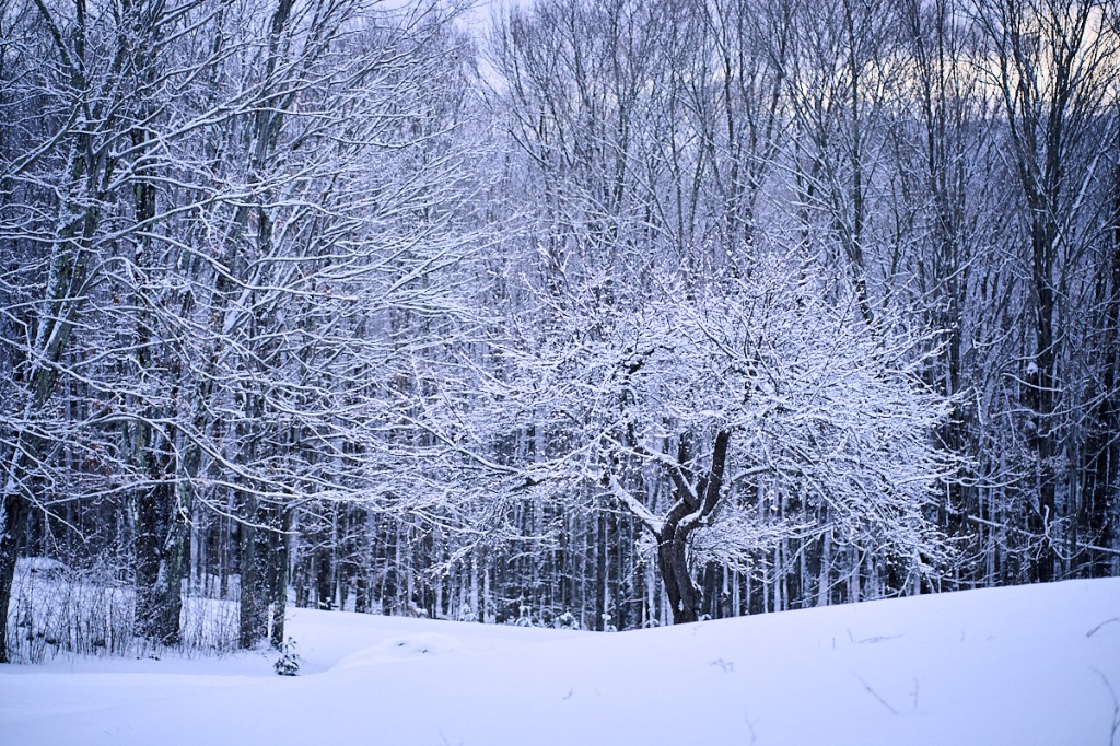 January’s Snow playlist